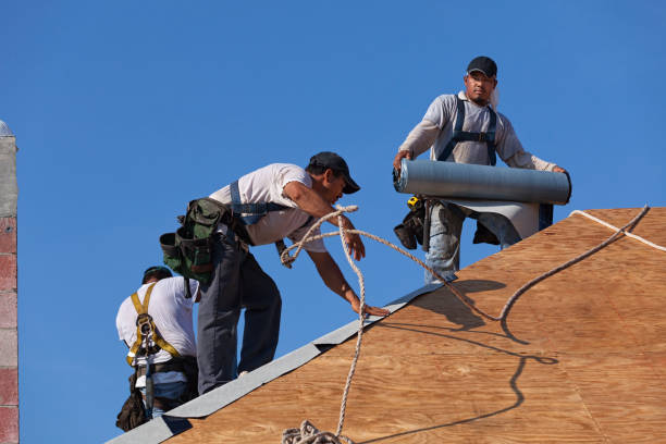Best Shingle Roofing Installation  in Courtland, VA