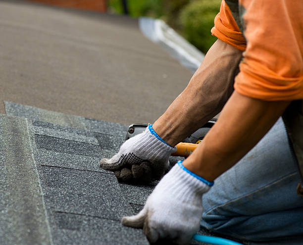 Best Roofing Contractor Near Me  in Courtland, VA