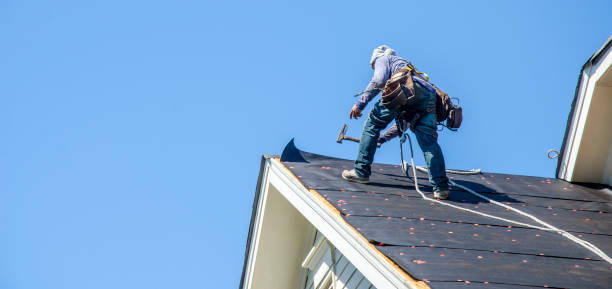 Best Roof Restoration Services  in Courtland, VA